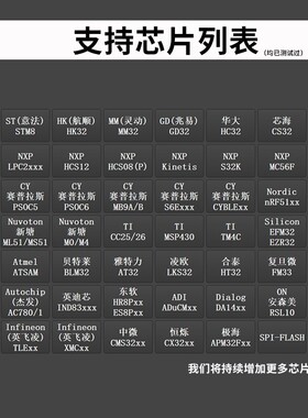 稀微国民技术N32G455 457 G032 030 离线 脱机烧录写编程下载器