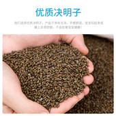 儿童决明子沙池装 围栏宝宝小孩沙滩沙漏沙子海洋球