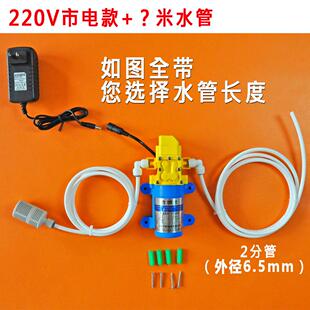水自吸泵 12V车载220V家用台下厨下抽水器龙头上水电动抽水泵桶装