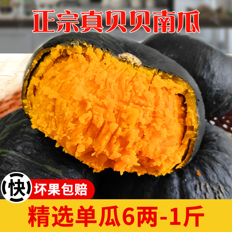 正宗真贝贝南瓜甜糯孕妇宝宝辅食爆粉香甜板栗味6两大果产地直发