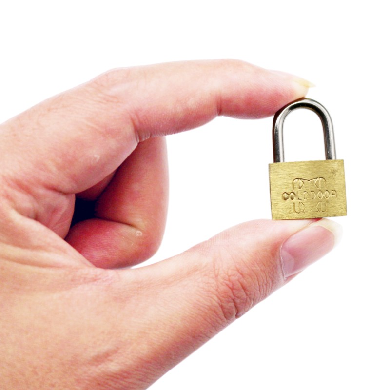 挂锁家用柜门宿舍仓库互机箱长头锁行李箱包迷你小铜锁锁头