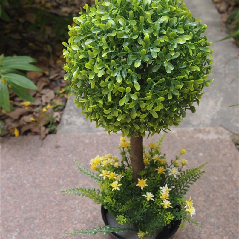 仿真小植物假盆景盆栽小草球米兰装配小花.摆放花卉窗台
