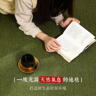 天然植物纤维 入户门地垫剑麻地毯客厅茶几毯卧室编织侘寂风定制