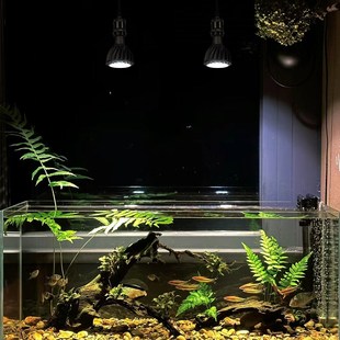 光联天下 全光谱补光灯鱼缸吊灯溪流缸水陆缸造景绿植生长灯