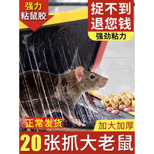 粘鼠板强力胶粘大老鼠家用老鼠贴抓鼠灭鼠捕鼠老鼠粘沾老鼠神器