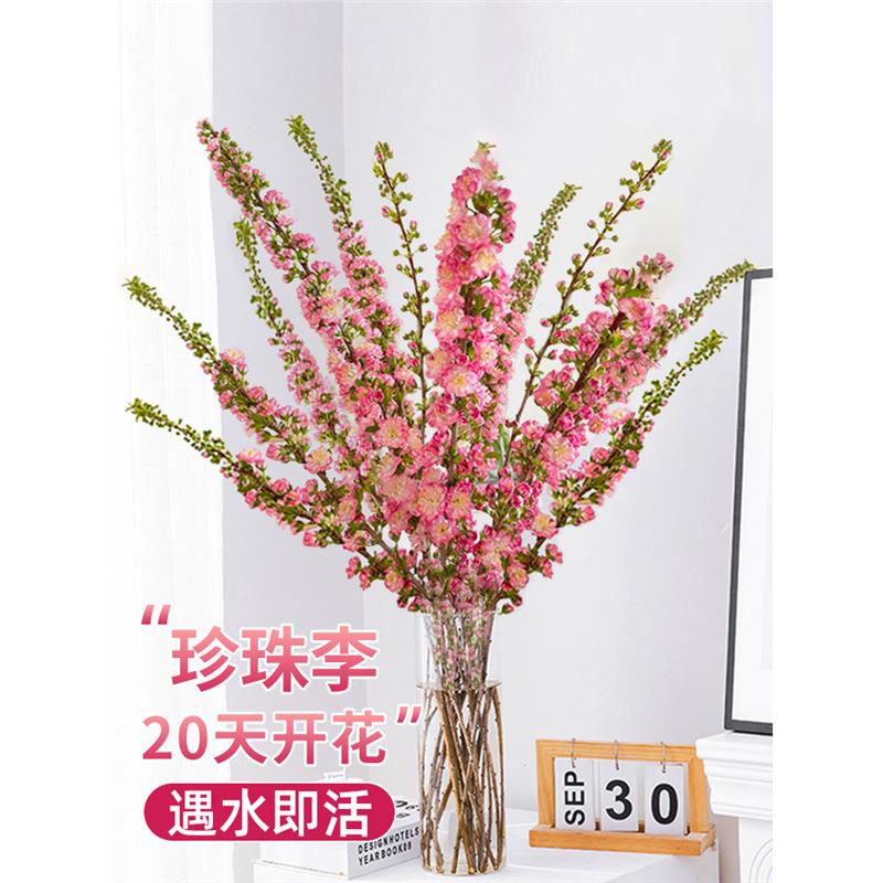 鲜花珍珠李树雪柳鲜枝水培植物桃花卉室内家用插花水养干枝花