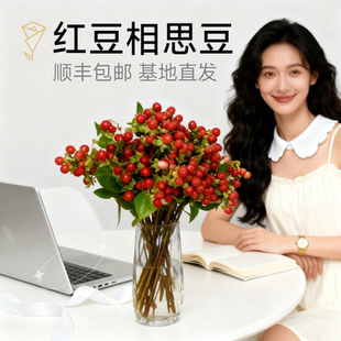 鲜花配草红豆火龙珠相思豆玫瑰花束装饰百搭小众草花桌面装饰绿植