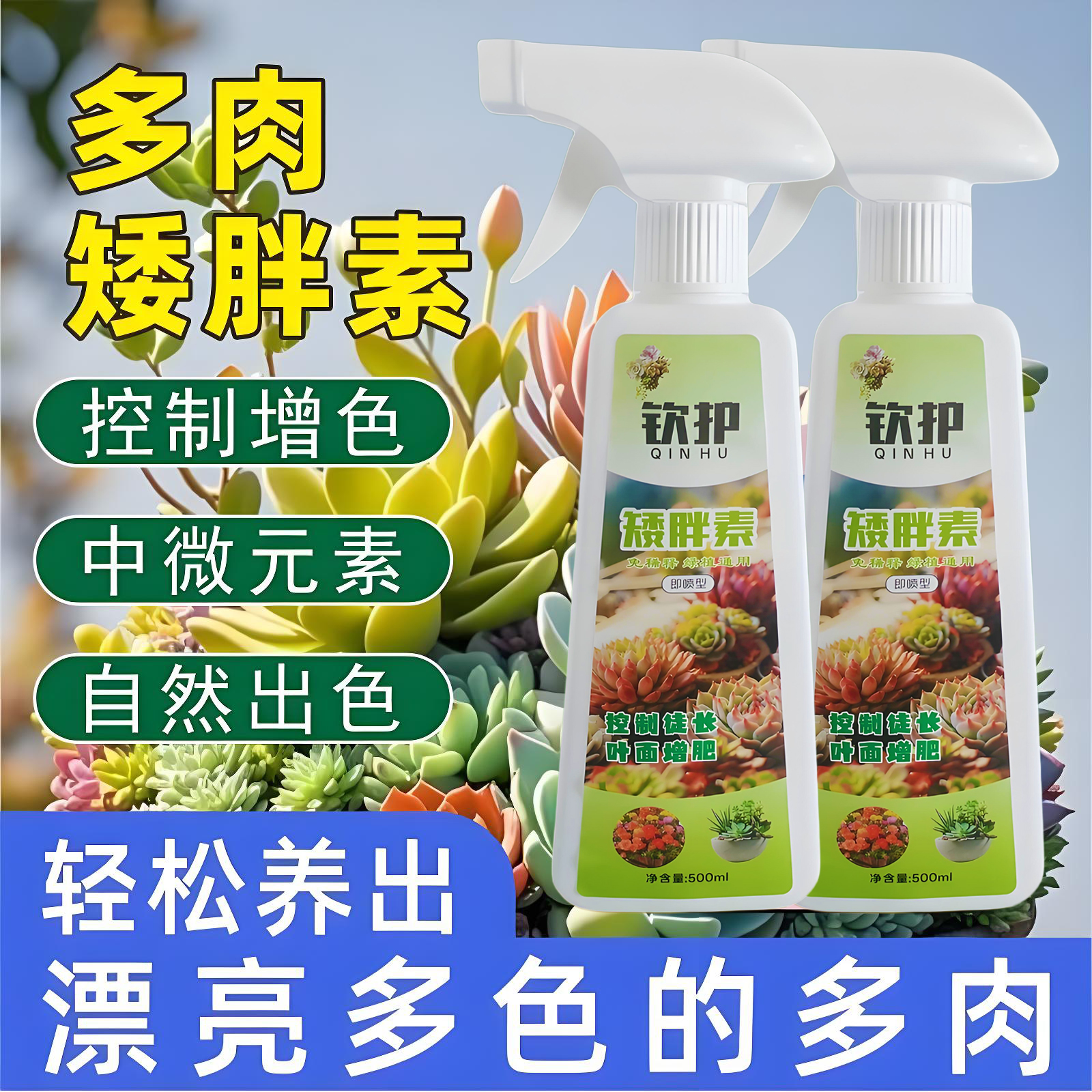 多肉矮胖素太阳花控徒长营养液
