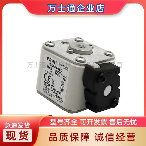 170M8600-170M8605熔断器