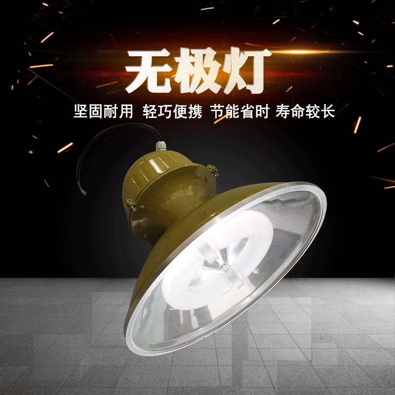厂家生产防爆低频无极灯150W200W工矿灯防水防尘防雾型节能灯具