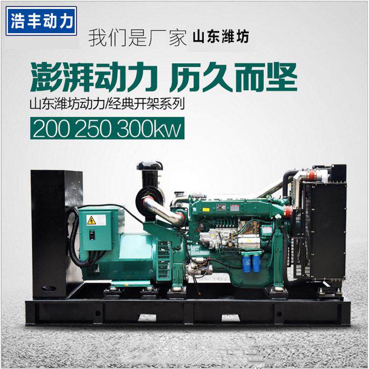 潍坊系列200kw柴油发电机组大型养殖场备用电源250千瓦无刷自动化