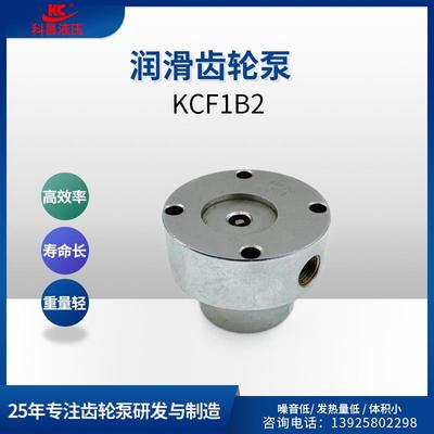 F1B2润滑齿轮泵注塑电动齿轮泵油泵注油机增压高压润滑油泵
