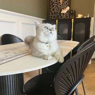 网红款 椭圆形饭桌家用小户型餐厅轻奢风格 奶油风岩板快速布置餐桌