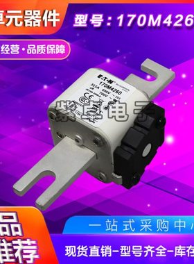 170M4238 170M4239 170M4240 170M4241 170M4242伊顿巴斯曼保险丝