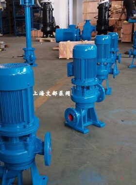 3040L215-不锈钢污水泵W2.电动提升立式文都增压泵直-排污泵铸铁