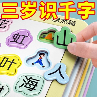 宝宝识字卡片拼图儿童趣味智力识物卡幼儿园早教学习益智玩具拼板