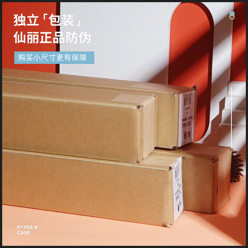 仙丽背景纸米影楼婚纱照相影棚摄影纯色儿童写真拍摄背景布