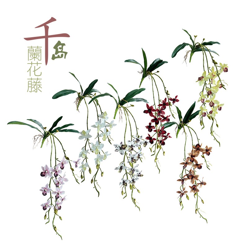 仿真千岛兰花藤蔓垂感花艺植物墙挂装饰室内橱窗客厅摆件婚庆道具
