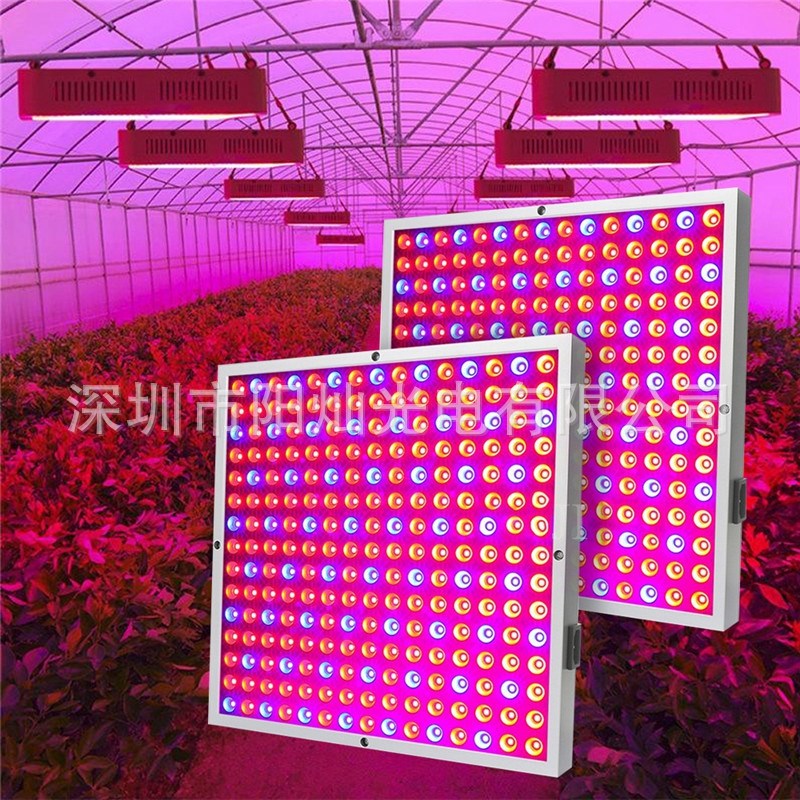 LED植物生长灯W5W全光谱高亮温室悬吊多肉蔬菜育苗花盆补光
