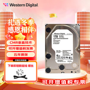 WD 企业级NAS网络存储服务器磁盘阵列机械硬盘 Ultrastar CMR