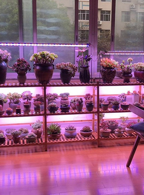 weg贵翔生长灯全光谱仿太阳多肉补光上色防徒家用大功率灯管