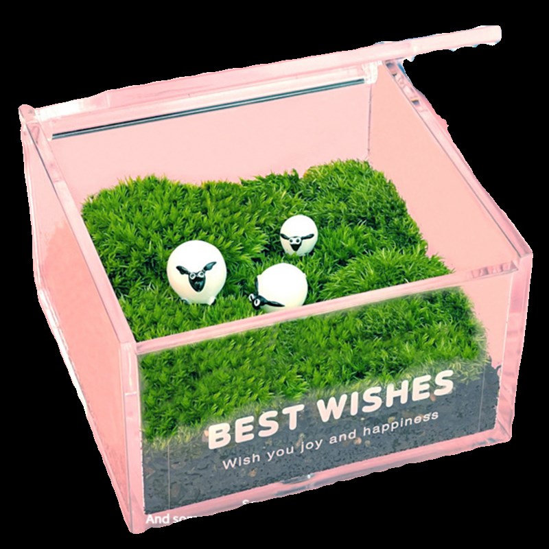 办公室工位桌面摆件苔藓微景观生态瓶小盆栽绿植桌面造景植物迷你