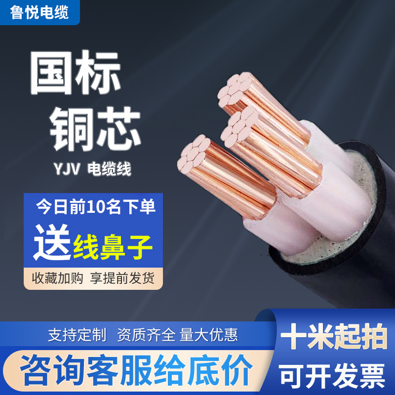 国标yjv电力电缆线2芯芯芯 1  平方阻燃铜芯控制缆线