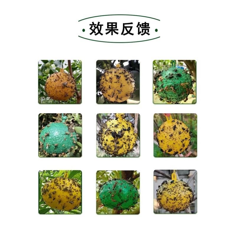 诱e蝇球d柑J橘w大实K蝇w诱捕球K瓜J果r实蝇L粘虫球针蜂果蝇m诱虫