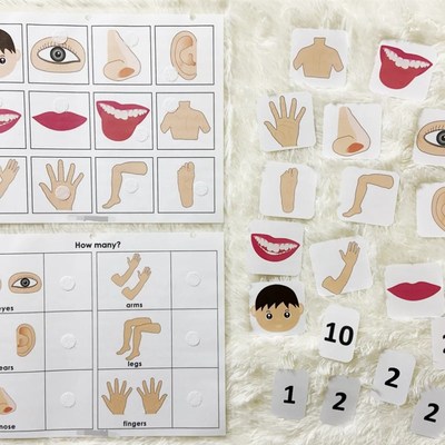 英语启蒙亲子早教 五官身体安静书单词趣味儿童游戏闪卡教师教具