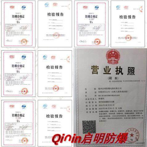 防爆网络机柜 防爆机柜防爆弱电柜 防爆9U机柜 2U防爆监控机柜