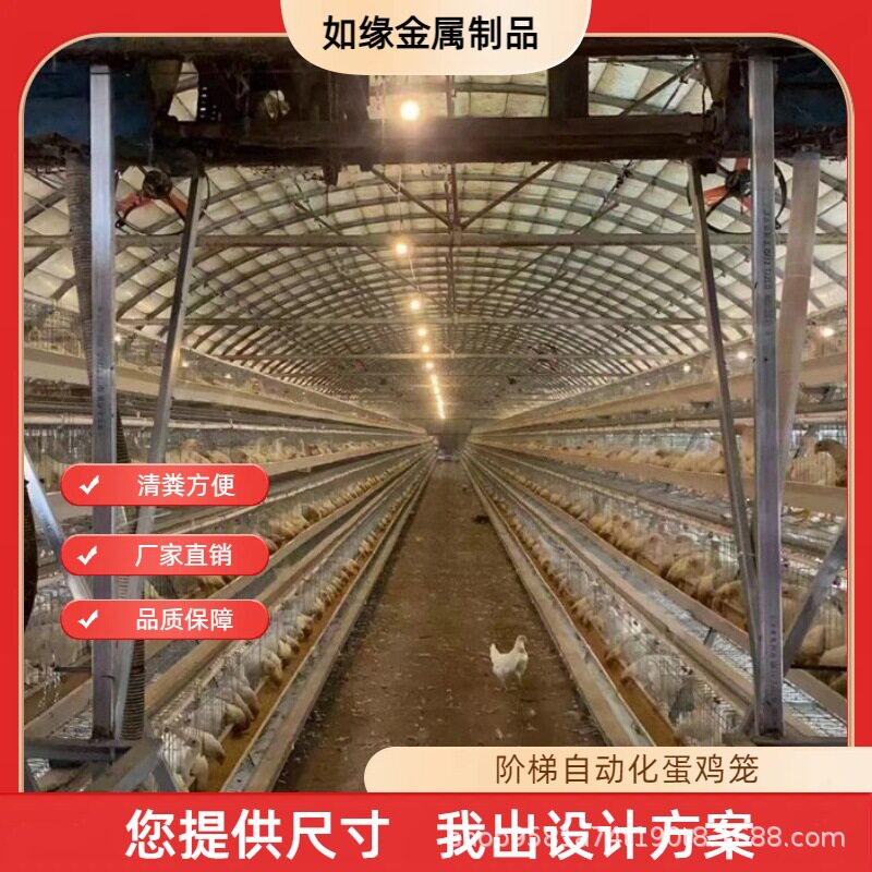 全自动阶梯蛋鸡笼镀锌背负式喂料机自动捡蛋机清粪养鸡设备鸡笼子