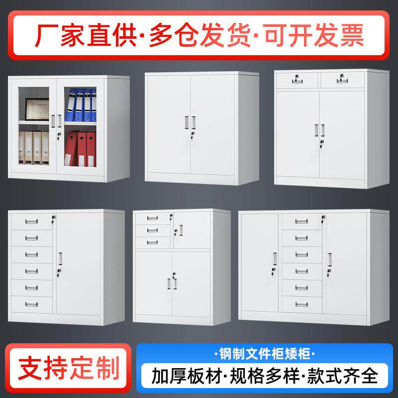 钢制办公矮柜带锁文件柜小铁皮柜加厚文件柜矮柜玻璃小文件柜厂家