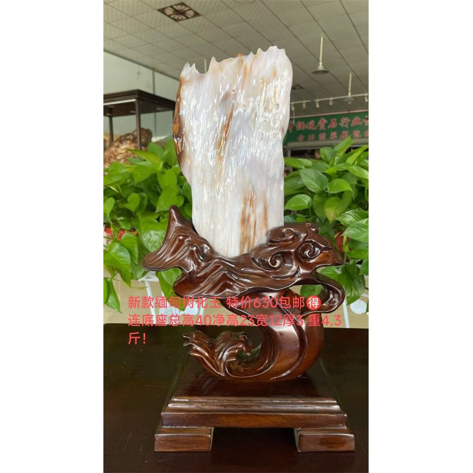 缅甸树原石硅化木奇石客厅造型石头木冰种树化玉摆件