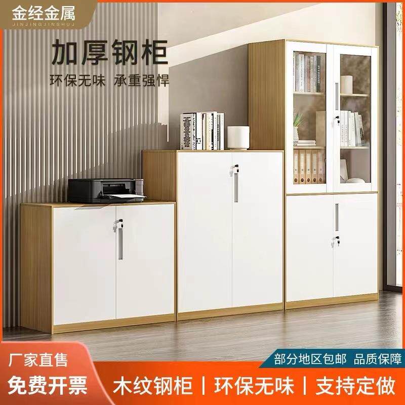 铁皮文件柜档案柜小型对开矮柜办公室落地柜储物柜工具柜带锁柜子