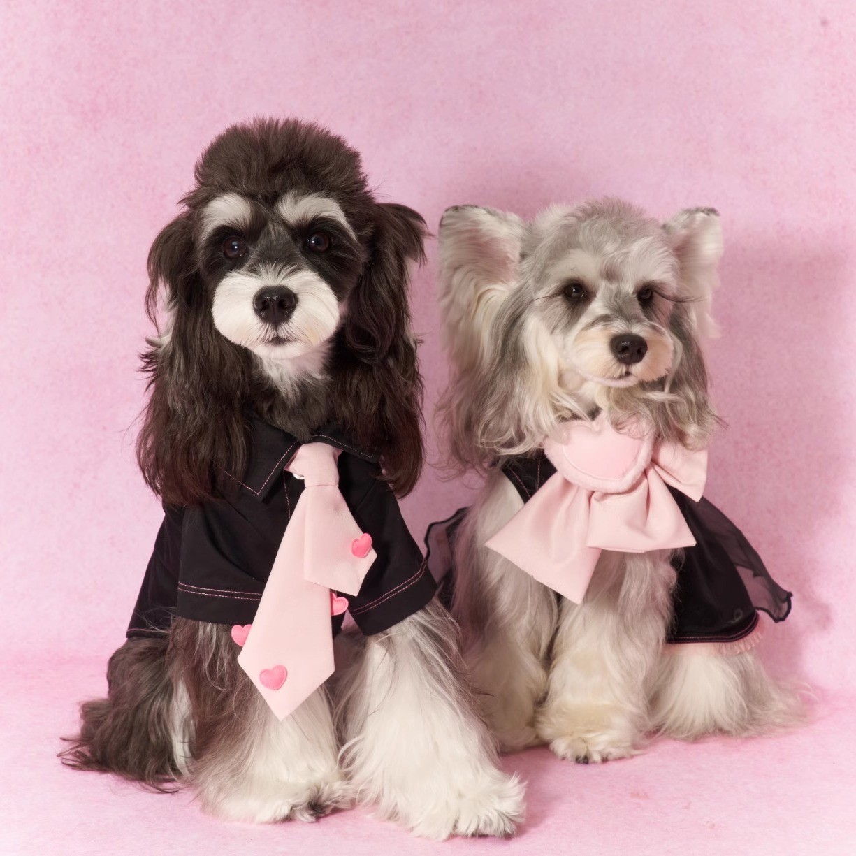 摆摆Wooo宠物狗狗领结爱心蝴蝶结领带情侣款时尚配饰可调节脖围