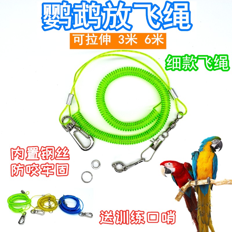 鹦鹉放飞绳牵引绳外出遛鸟绳八哥玄凤虎皮牡丹训练用小鸟脚炼 炼