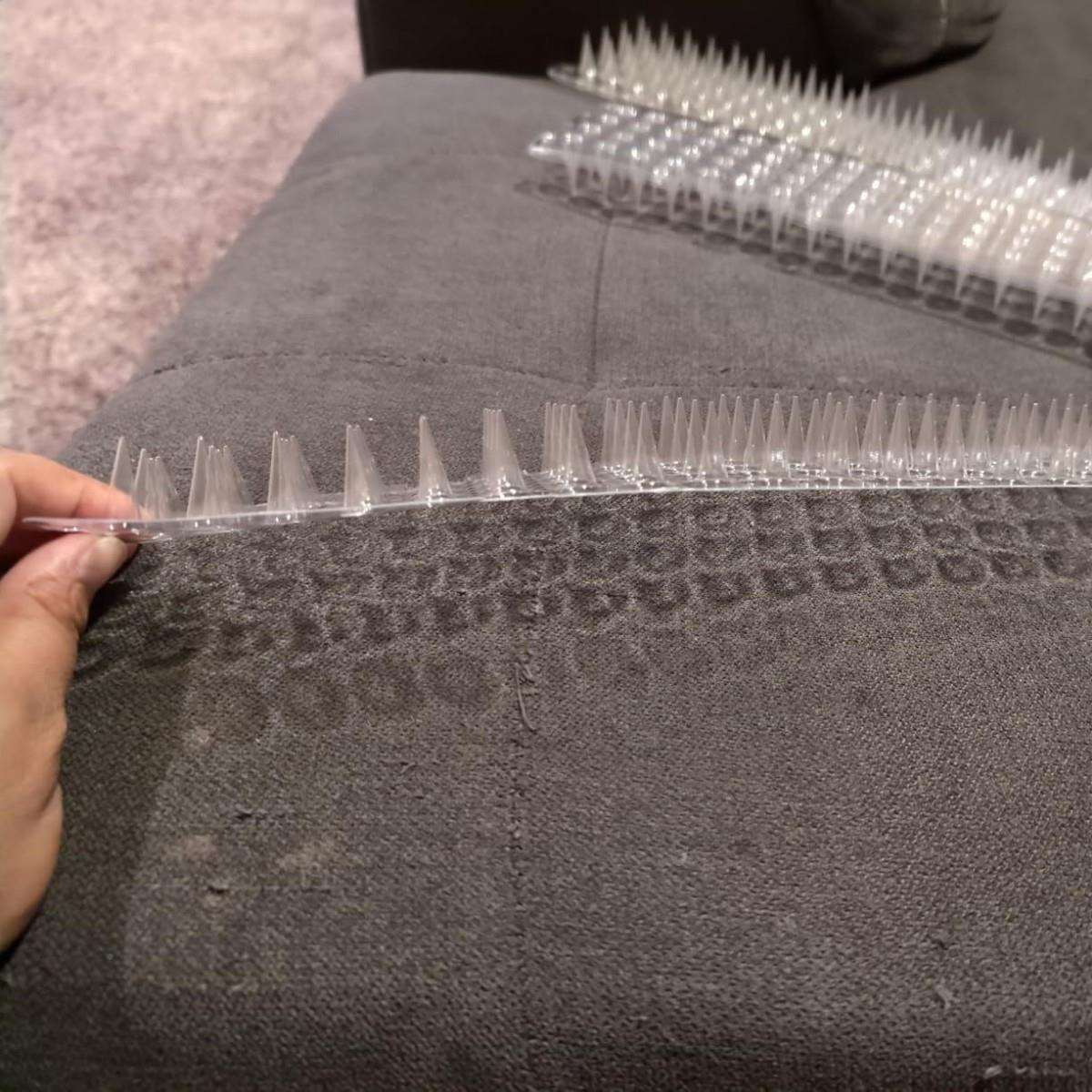 透明防鸟刺垫防宠物用品猫垫宠物用品刺户V外防园护猫宠物垫果PC