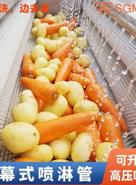 马花生大姜生蚝商用毛辊洗去皮机RFO红薯胡萝卜蹄土皮豆清马铃薯