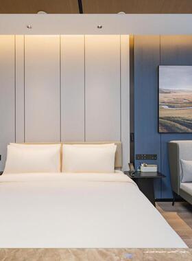 酒店家具亚套朵宿酒店全46688寓公民专用床沙发茶几标间家具