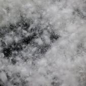 被鹅绒国标物散装 制衣制填充90白鹅绒TIP蓬松服装 标准高厂家羽绒