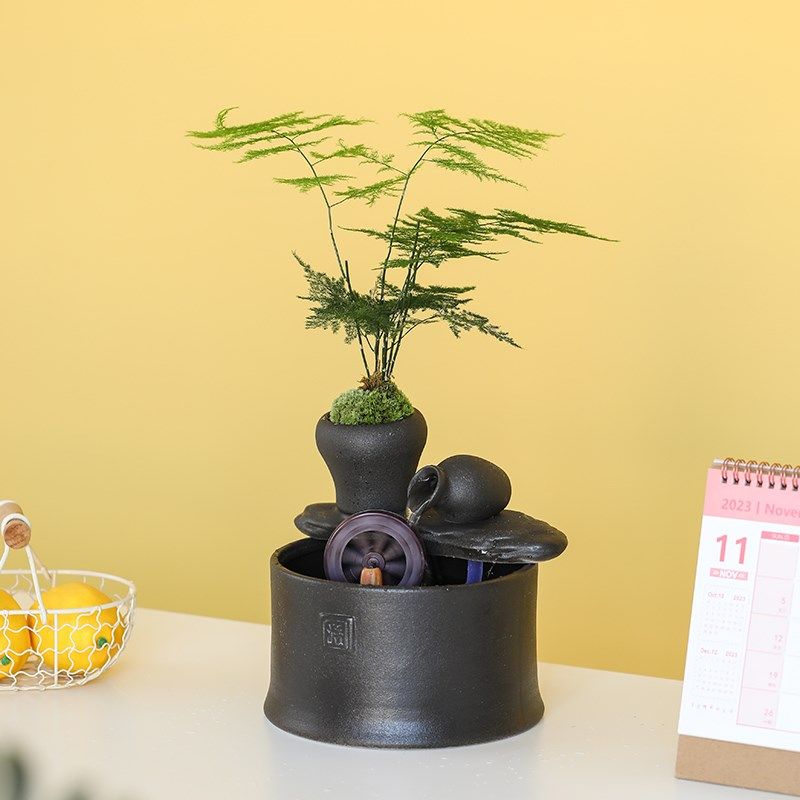 新循环水生财创意水晶球招财鱼缸小型家用桌面乔迁送礼品,家居饰品,装饰摆件,淘宝优惠券,粉丝福利购,淘宝优惠卷