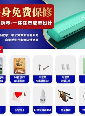 IKING GE演奏奥丁odin孔音半音阶口琴新手初学入门学生