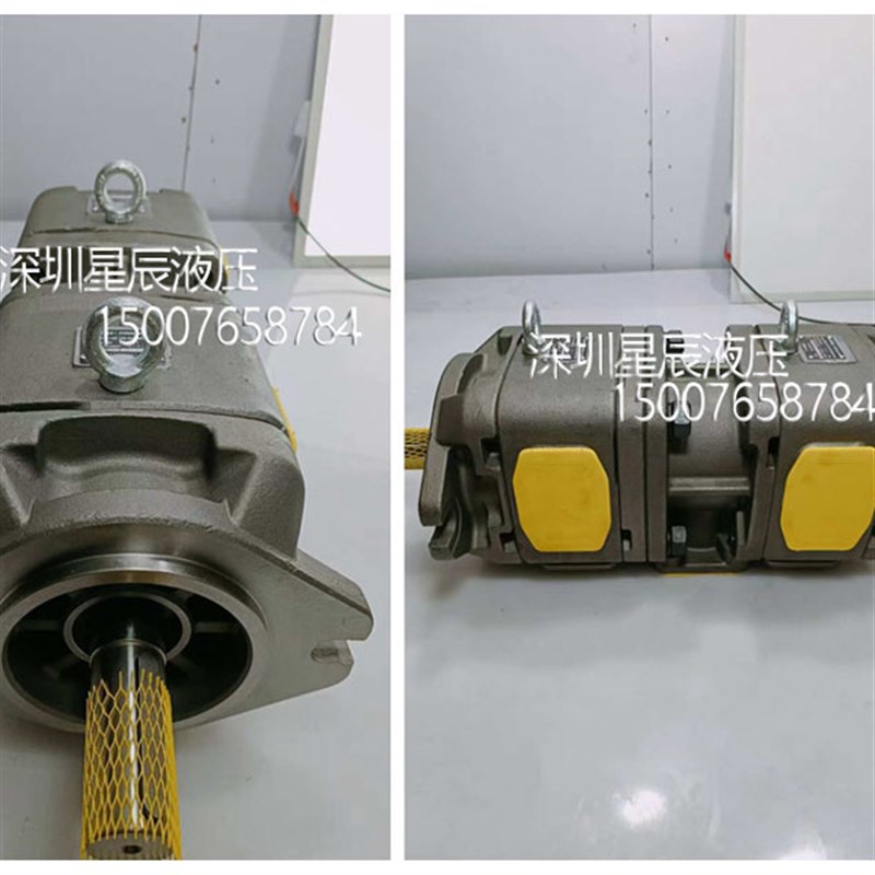 HG22-1-1-01R-VPC-P-伺服油泵CP22-100-100-P-10联齿轮泵