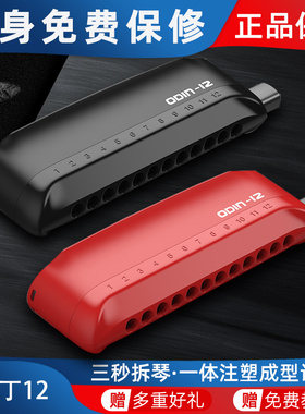 IKING GE演奏奥丁odin孔音半音阶口琴新手初学入门学生