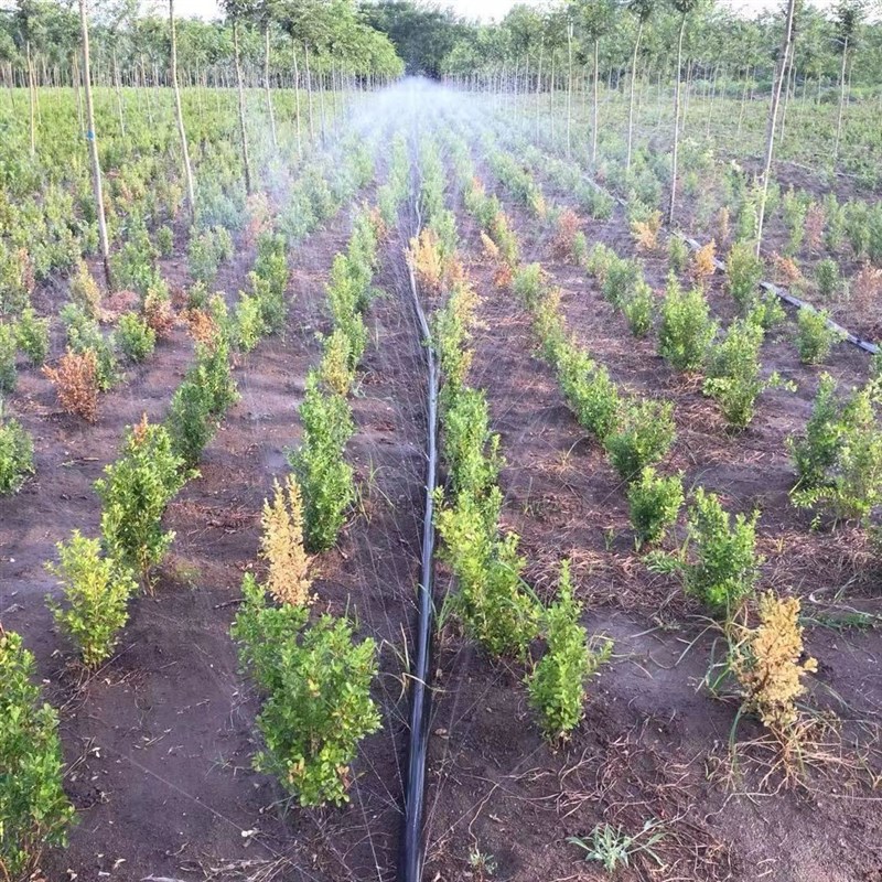 农用微喷带滴灌带雾化喷灌喷水带节水浇地带自动浇水大棚喷灌设备