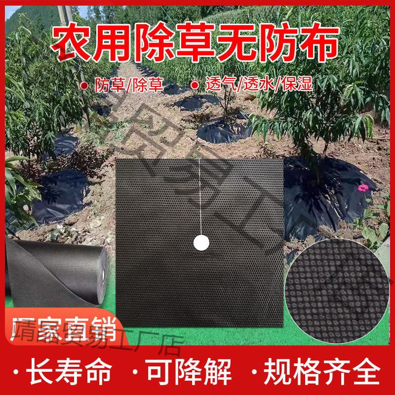 生态防草布厂家直销除草布农用果园耐用地膜果树新型无妨地布槟榔