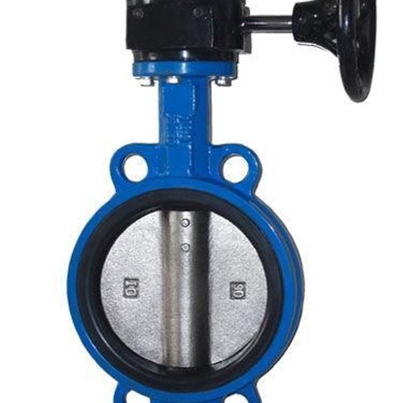 涡轮对夹式蝶 D71X-1 铸铁涡轮蝶 DN 5  100 1