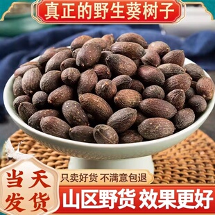 葵树子野生中药材500g精选广西大粒葵树籽老果葵扇子葵扇籽蒲葵籽