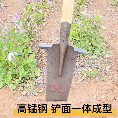 军印尖泥锹全钢加厚尖锹园艺尖铲子挖山药锹挖沟挖树铁锹大尖锨