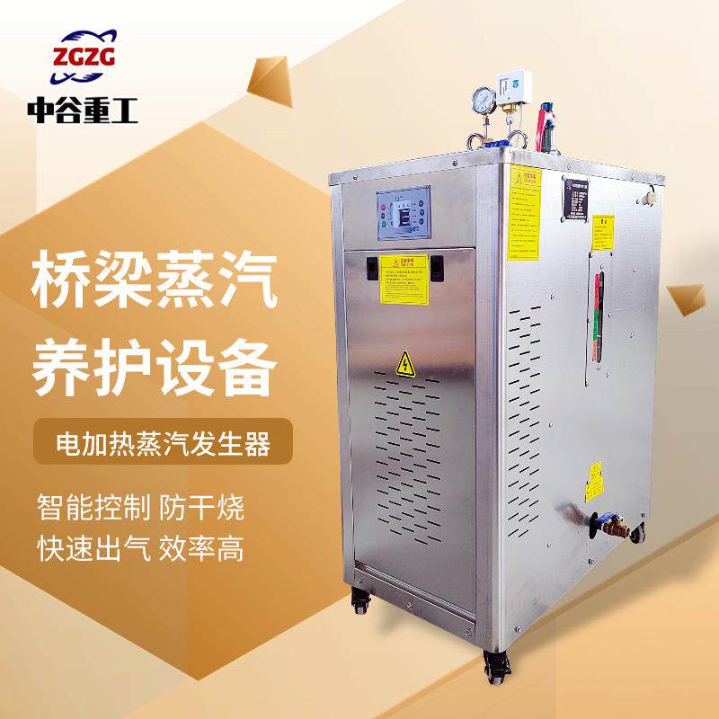 冬季桥梁蒸汽养护设备梁场全自动锅炉
